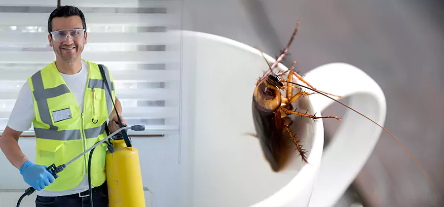 German Roach Infestation Treatment McDonough