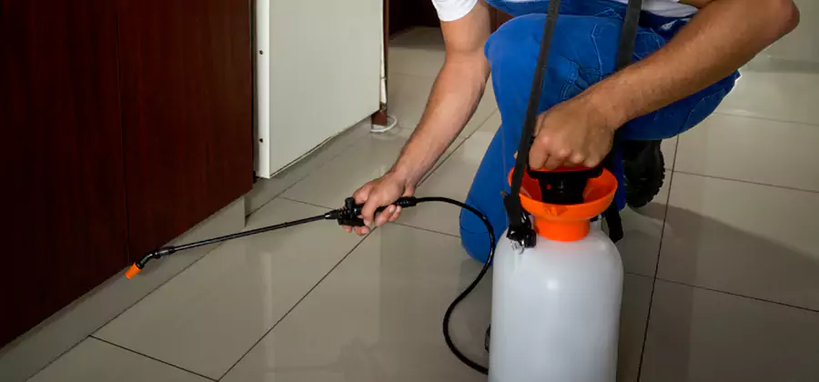 Indoor Mosquito Treatment in McDonough