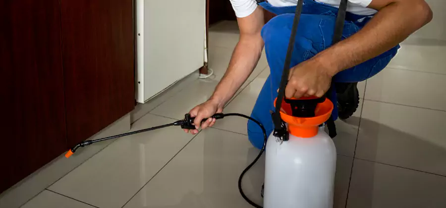 Indoor Insect Killer Solutions in McDonough