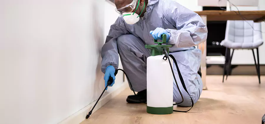 Long Lasting Mosquito Treatment in McDonough
