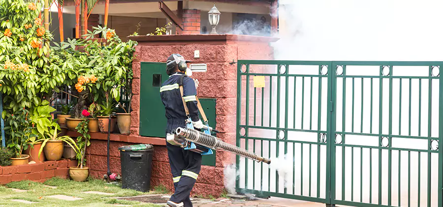 Backyard Mosquito Foggers Service in McDonough