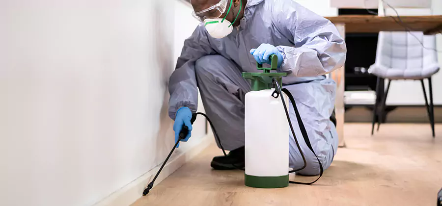 No Tent Termite Extermination With Electric Tool in McDonough