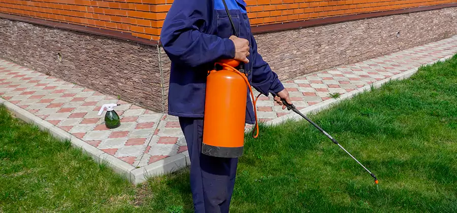 Non Toxic Termite Treatment in McDonough