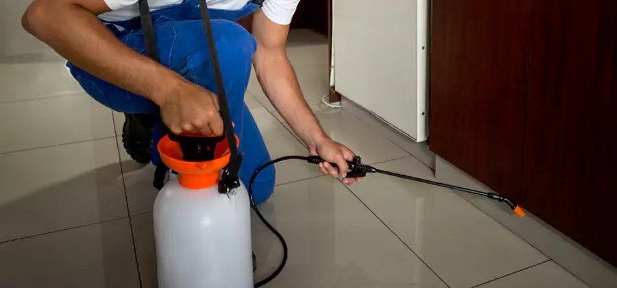 One Time Termite Control in McDonough