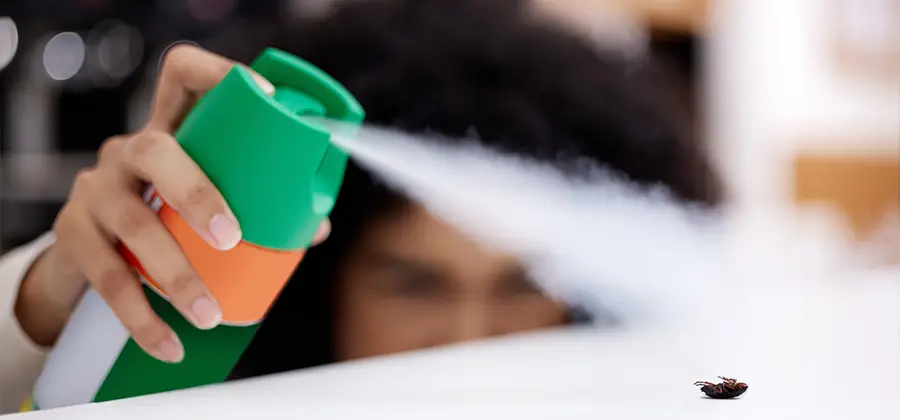 Child Safe Bed Bug Treatment in McDonough