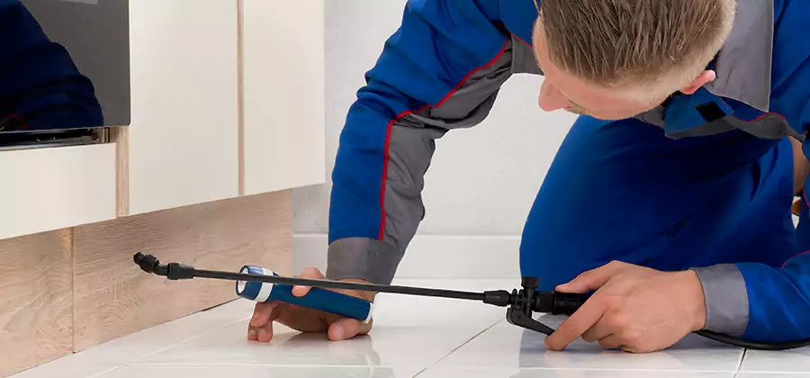 Moisture Treatment For Termite Control Service in McDonough