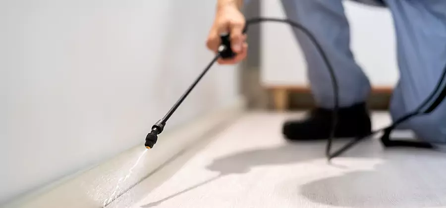 Direct Termite Injection Treatment in McDonough