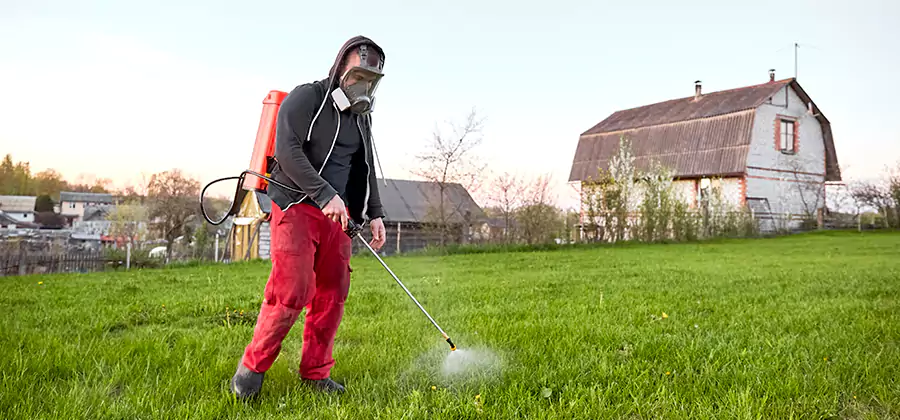 Flea and Tick Pest Control in McDonough