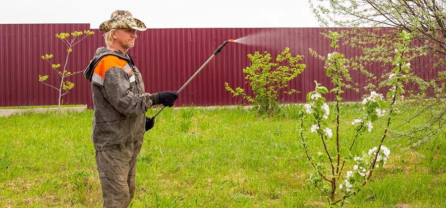 Flea and Tick Spray for Yard in McDonough