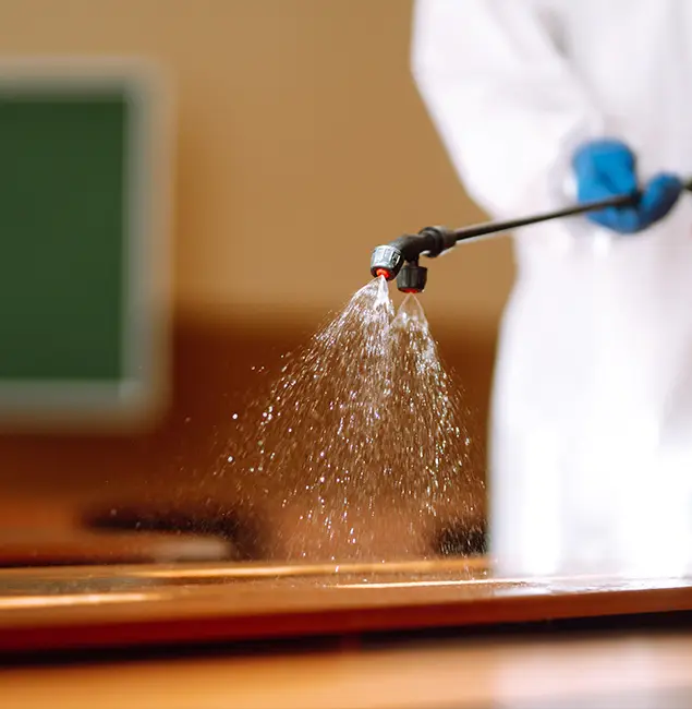 Why Choose McDonough GA Pest Control Pros for Bed Bug Chemical Treatment in McDonough, GA?