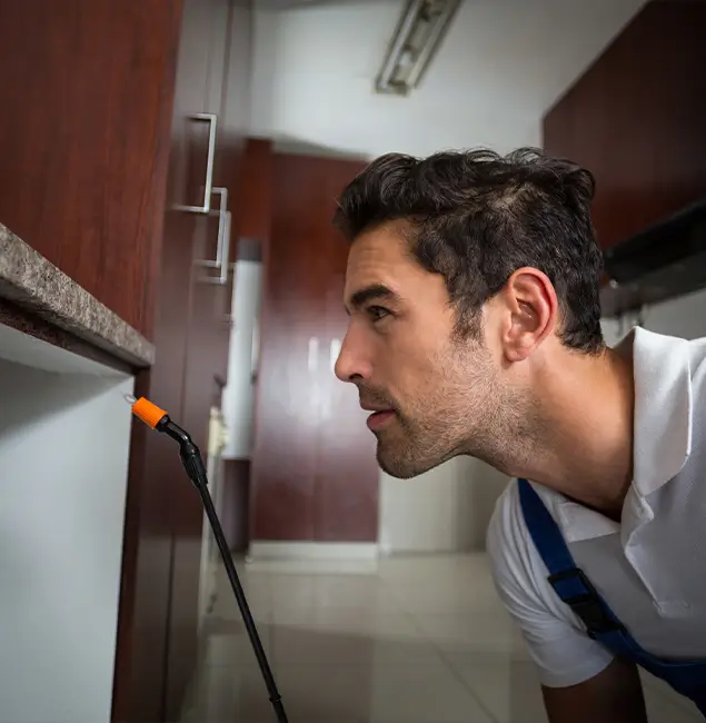 Why Choose McDonough GA Pest Control Pros for Bed Bug Removal Cost in McDonough, GA?