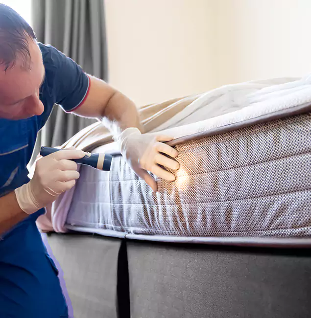 Why Choose McDonough GA Pest Control Pros for Bed Bug Services in McDonough, GA?