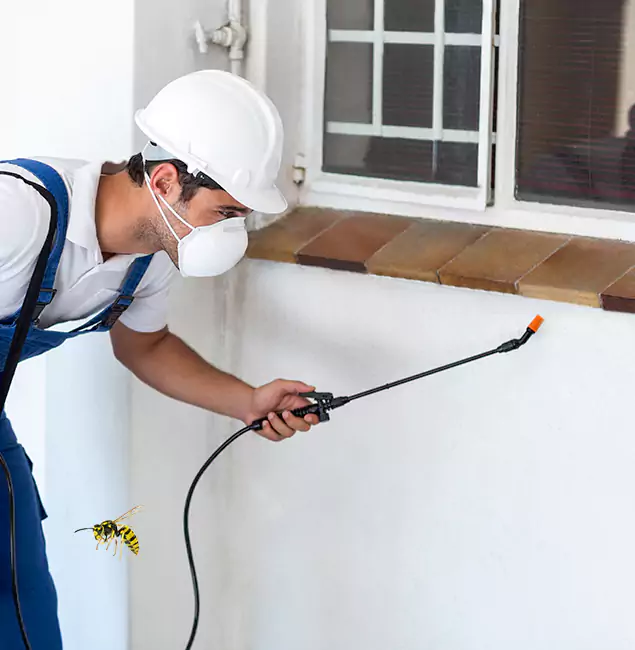 Why McDonough Property Owners Choose McDonough GA Pest Control Pros for Bee Nest Removal?
