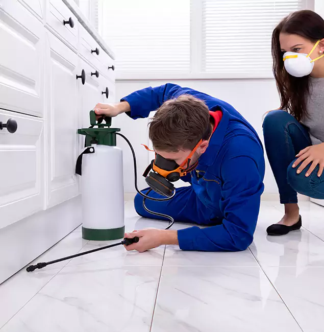 Why Choose McDonough GA Pest Control Pros in McDonough, GA?