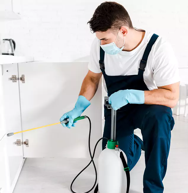 Why Choose McDonough GA Pest Control Pros for Emergency Pest Control in McDonough?