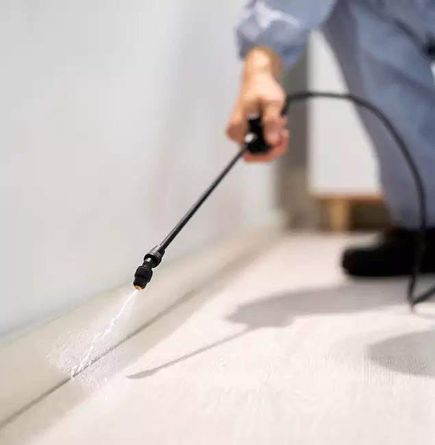Why Choose McDonough GA Pest Control Pros for Termite Treatment in McDonough, GA?