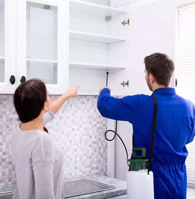 Why McDonough Property Owners Choose McDonough GA Pest Control Pros for Ground Bee Removal?