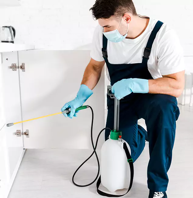 Why Choose McDonough GA Pest Control Pros for Indoor Pest Control in McDonough, GA?