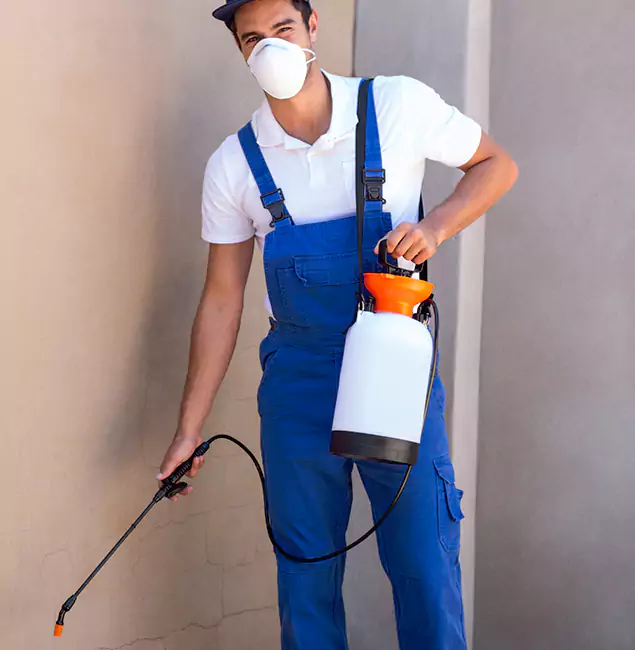 What Makes McDonough GA Pest Control Pros the Right Choice in McDonough, GA?