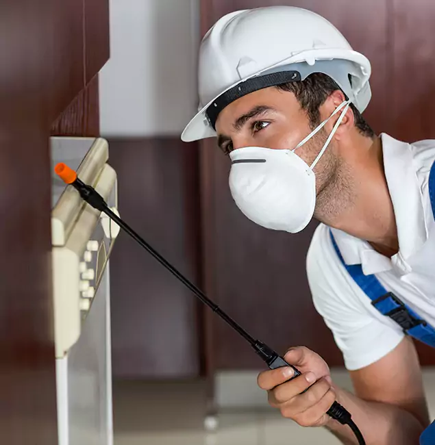 Why McDonough Homeowners Rely on McDonough GA Pest Control Pros for Tick Treatment?