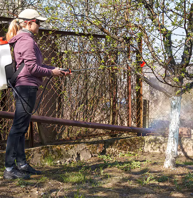 Why McDonough Homeowners Choose McDonough GA Pest Control Pros for Mosquito Abatement?