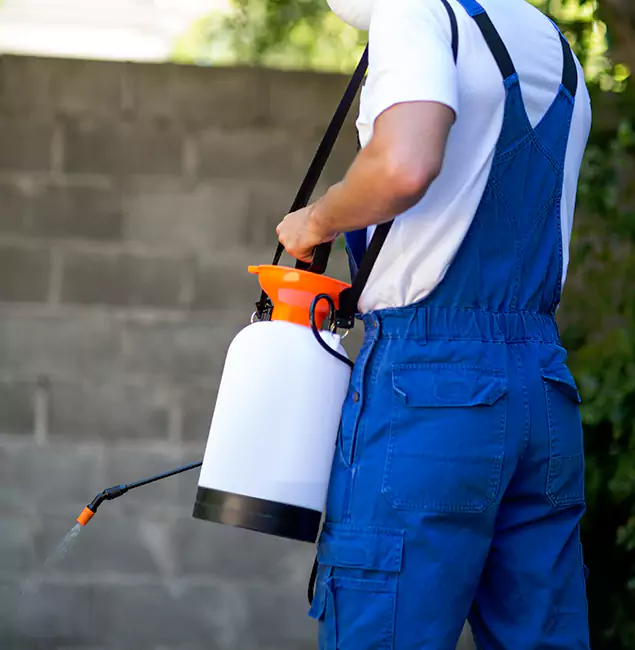 Why McDonough Homeowners Rely on McDonough GA Pest Control Pros for Mosquito Control?