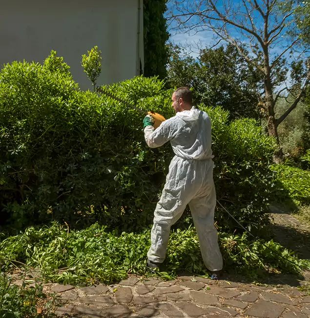 Why McDonough GA Pest Control Pros Leads Mosquito Control in McDonough, GA?