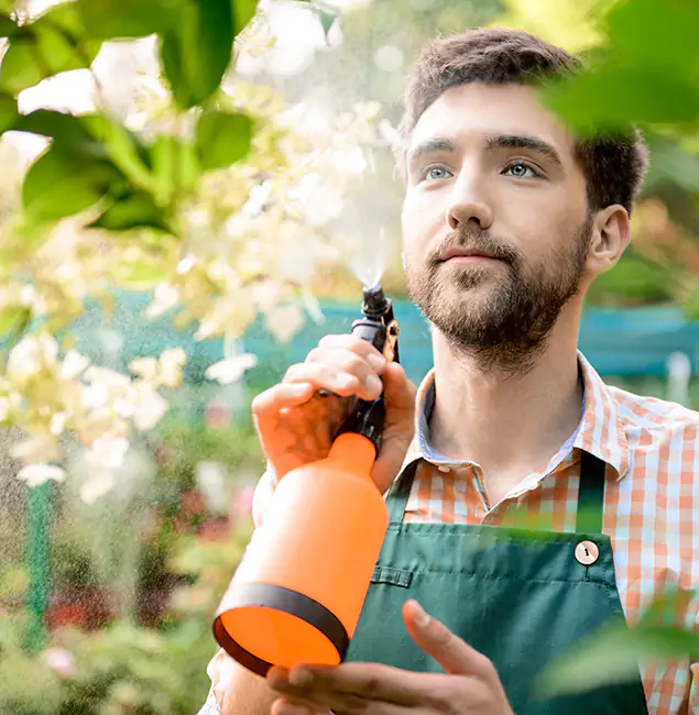 Why McDonough GA Pest Control Pros Is the Best Mosquito Control Company in McDonough, GA?