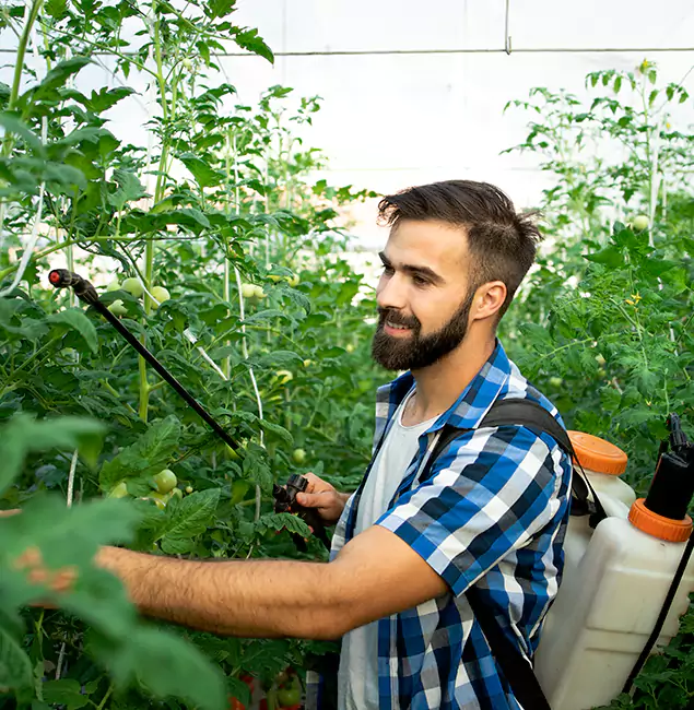 Why McDonough Homeowners Choose McDonough GA Pest Control Pros for Mosquito Spraying?