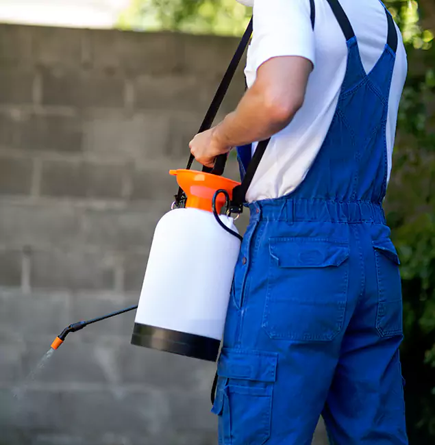 Why McDonough GA Pest Control Pros Delivers the Best Mosquito Control in McDonough, GA?