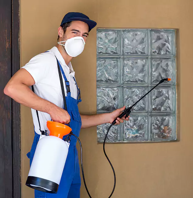 Why McDonough GA Pest Control Pros Provides the Best Mosquito Control for Yard Properties in McDonough, GA?