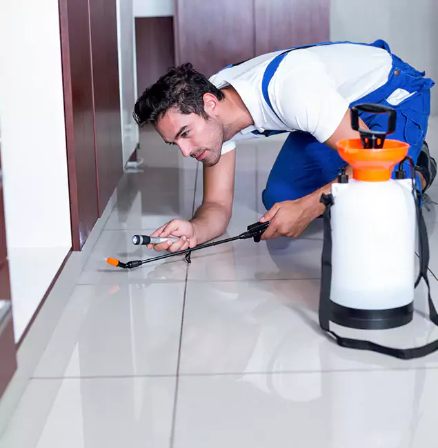 Why McDonough GA Pest Control Pros Is the Proven Choice in McDonough, GA?