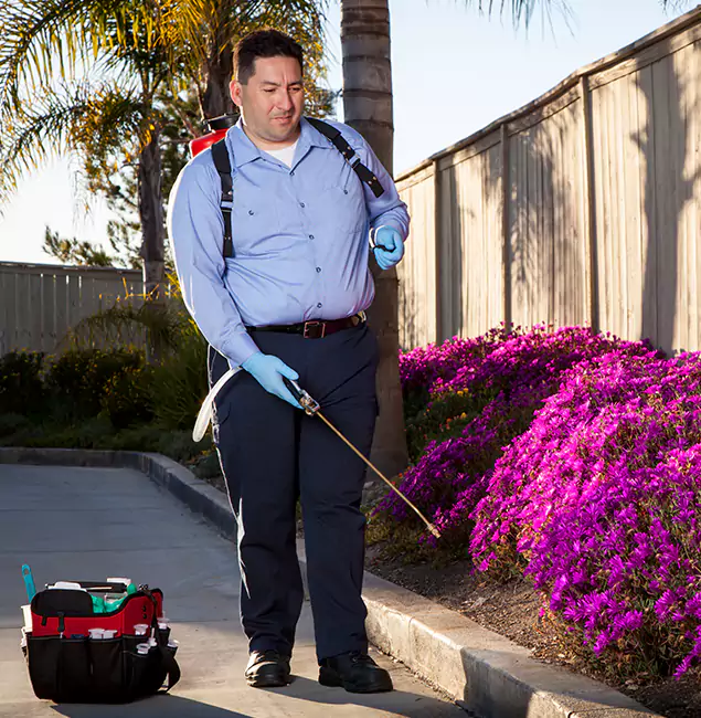 Why Choose McDonough GA Pest Control Pros in McDonough, GA?
