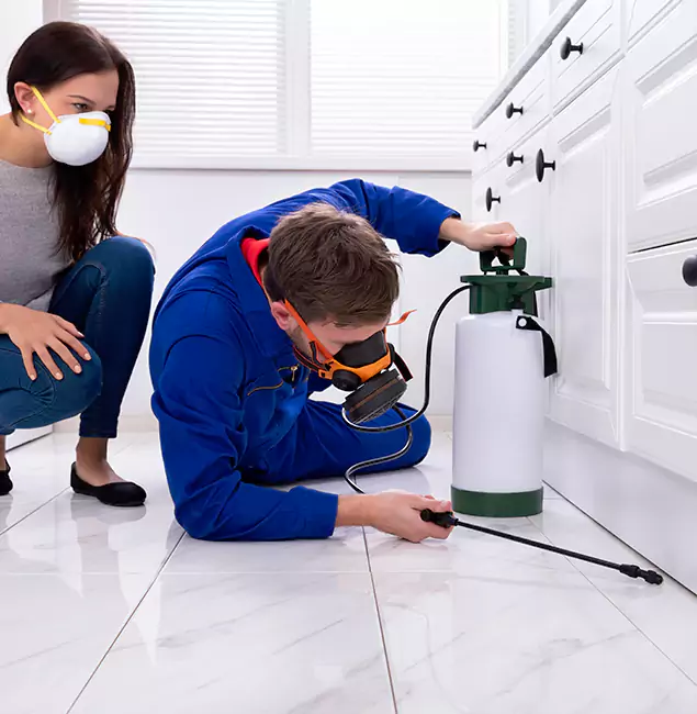 Why Choose McDonough GA Pest Control Pros in McDonough, GA?