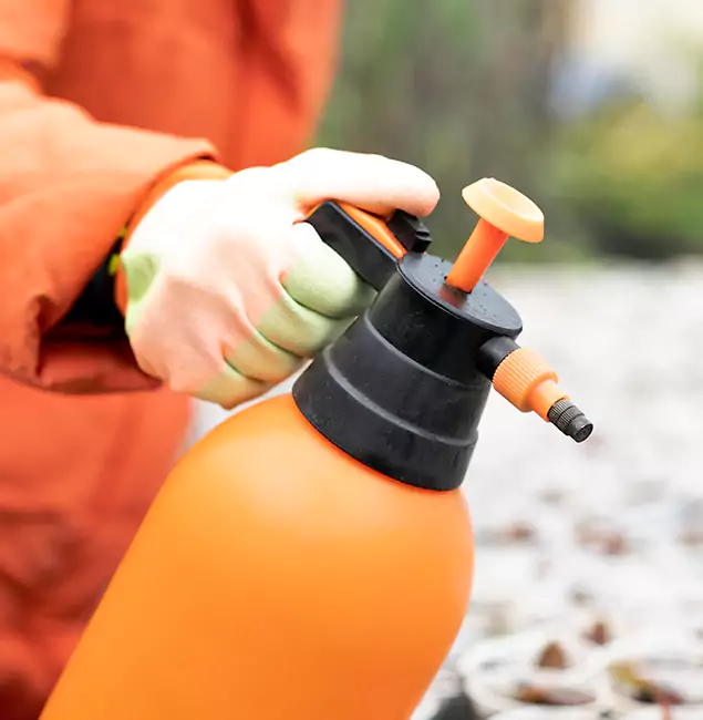 Why Choose McDonough GA Pest Control Pros for Orange Termite Treatment in McDonough, GA?