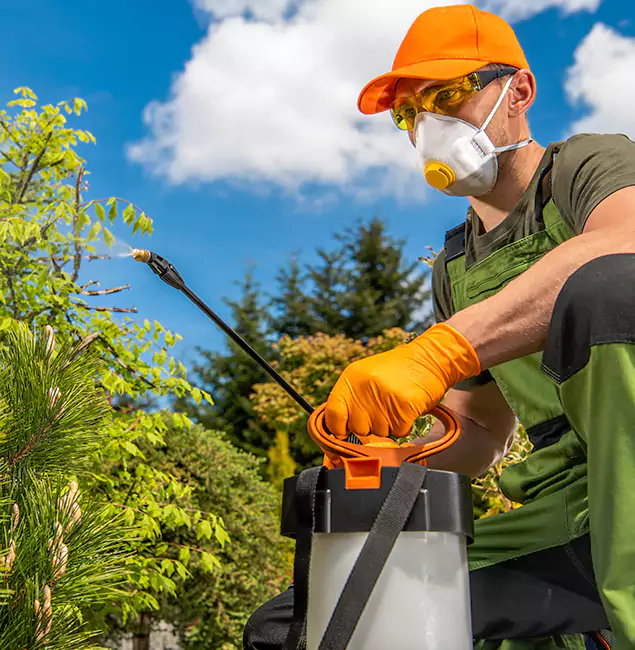 Why Choose McDonough GA Pest Control Pros for Outdoor Pest Control in McDonough, GA?