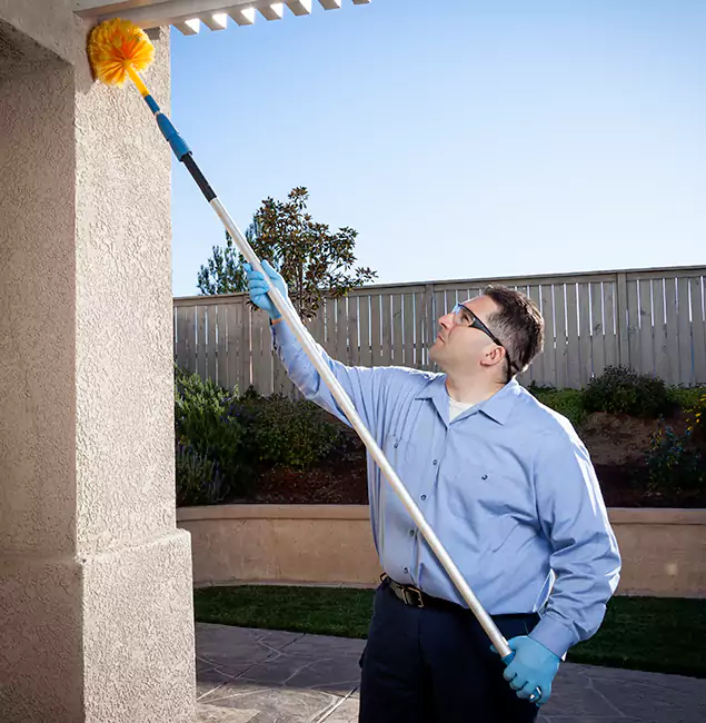 Why Choose McDonough GA Pest Control Pros for Pest Control Services in McDonough, GA?