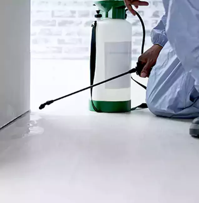 Why Choose McDonough GA Pest Control Pros for Rat Exterminator in McDonough, GA?