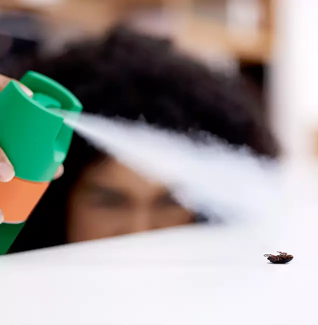 Why McDonough, GA Homeowners Choose McDonough GA Pest Control Pros for Roach Pest Control?