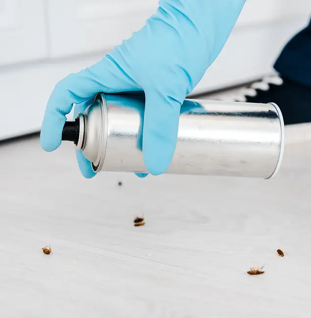 Why Choose McDonough GA Pest Control Pros for Safe Bed Bug Treatment in McDonough, GA?