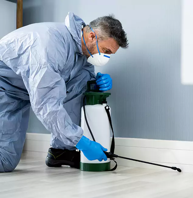 Why Choose McDonough GA Pest Control Pros for Subterranean Termites Treatment in McDonough, GA?