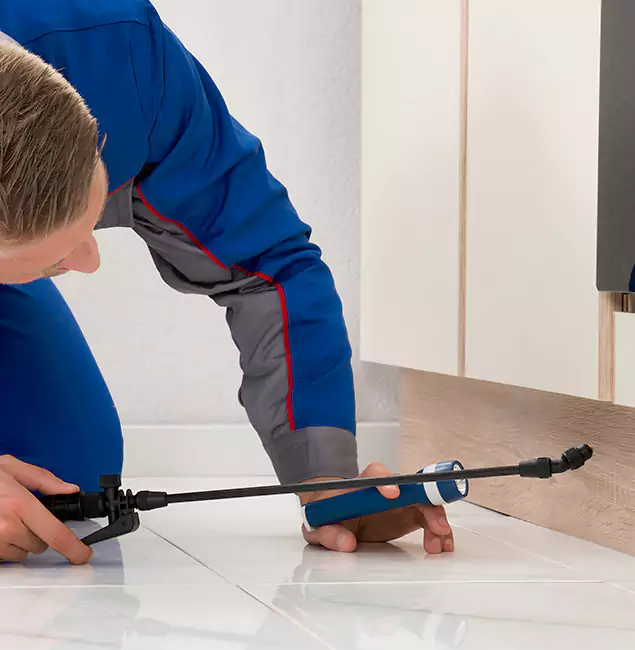 Why McDonough Residents Choose McDonough GA Pest Control Pros to Get Rid of Sugar Ants?