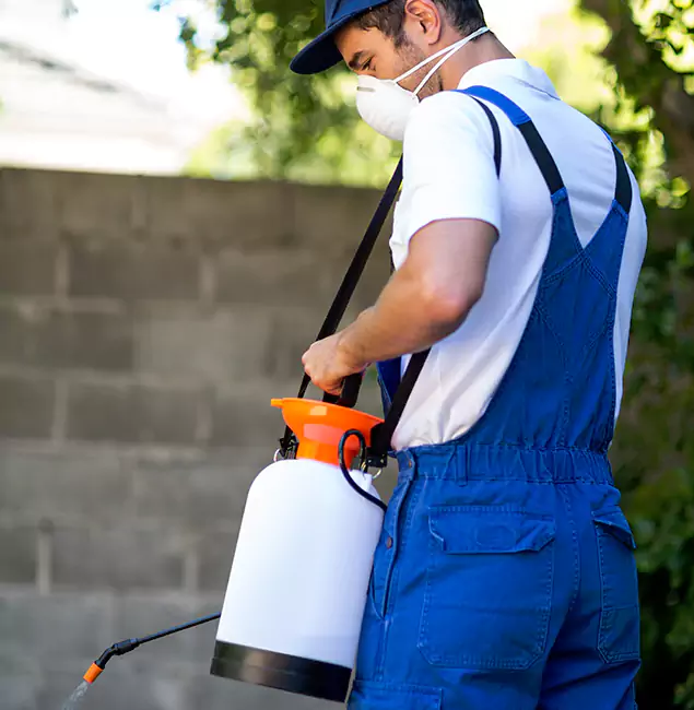 Why Choose McDonough GA Pest Control Pros for Termite Barrier in McDonough, GA?