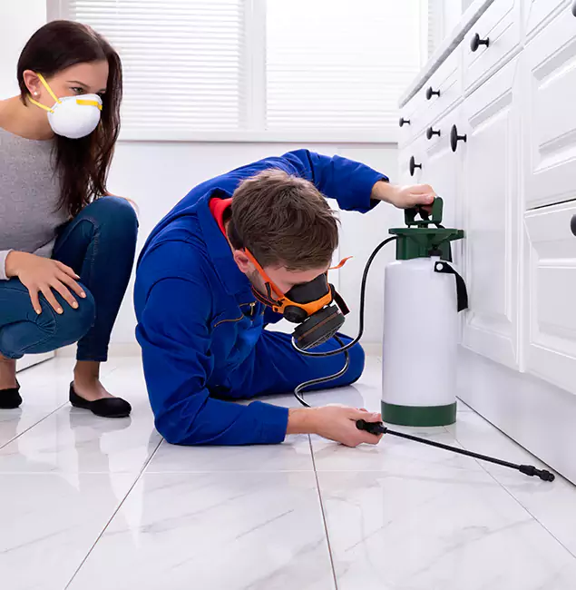Why Choose McDonough GA Pest Control Pros for Termite Inspection Cost in McDonough, GA?