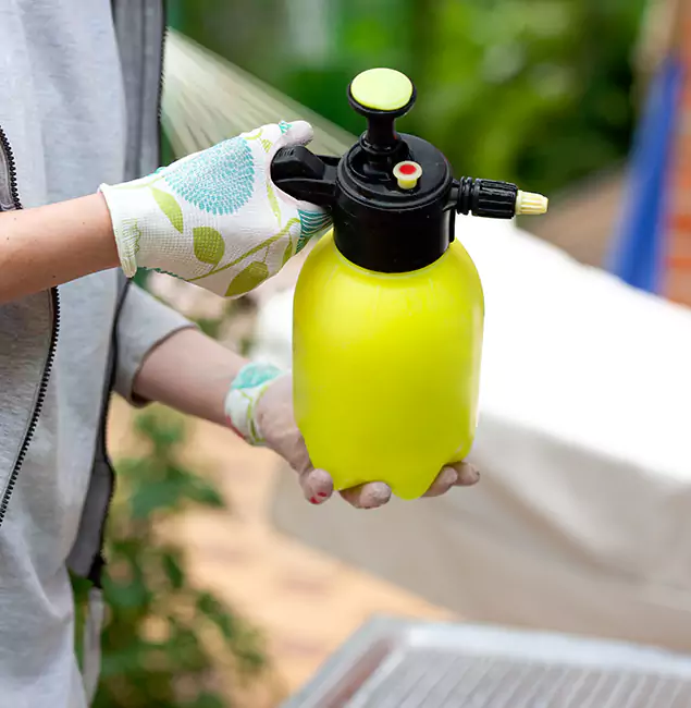 Why Choose Us: McDonough GA Pest Control Pros Termite Spraying Experts in McDonough, GA?