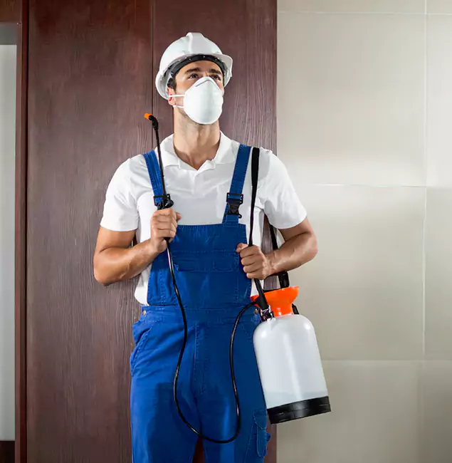 Why Choose McDonough GA Pest Control Pros for Termite Tenting in McDonough, GA?