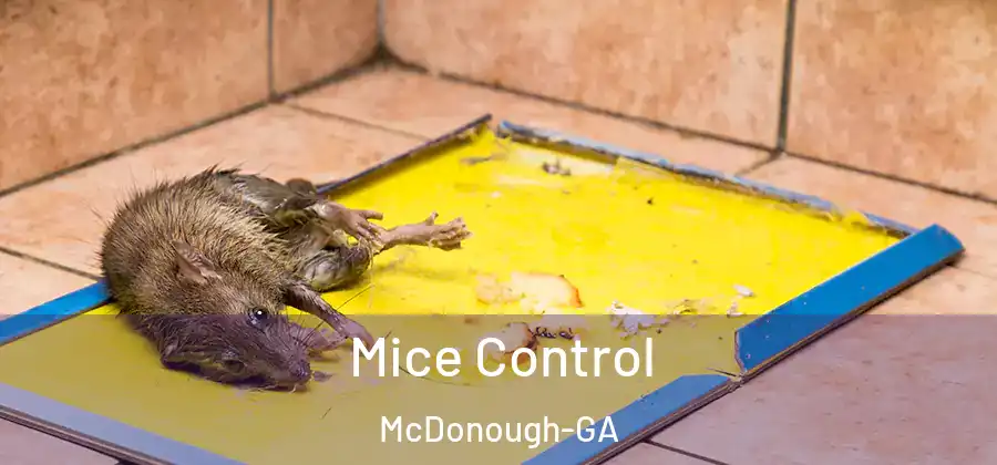 Mice Control McDonough-GA