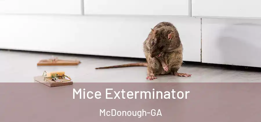 Mice Exterminator McDonough-GA