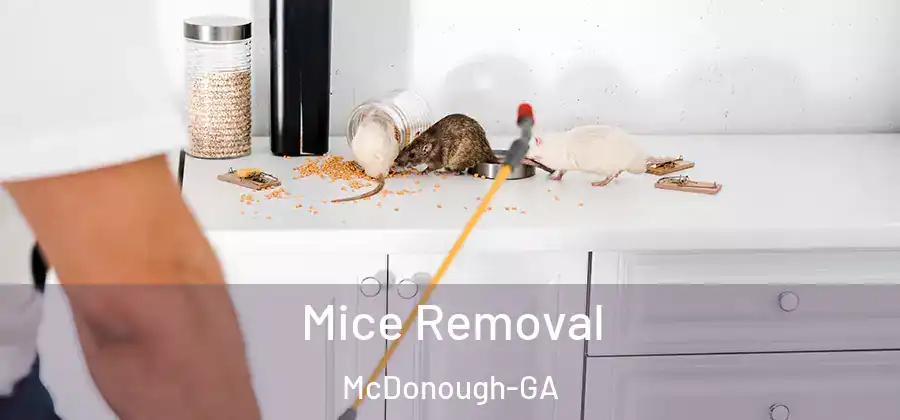  Mice Removal McDonough-GA