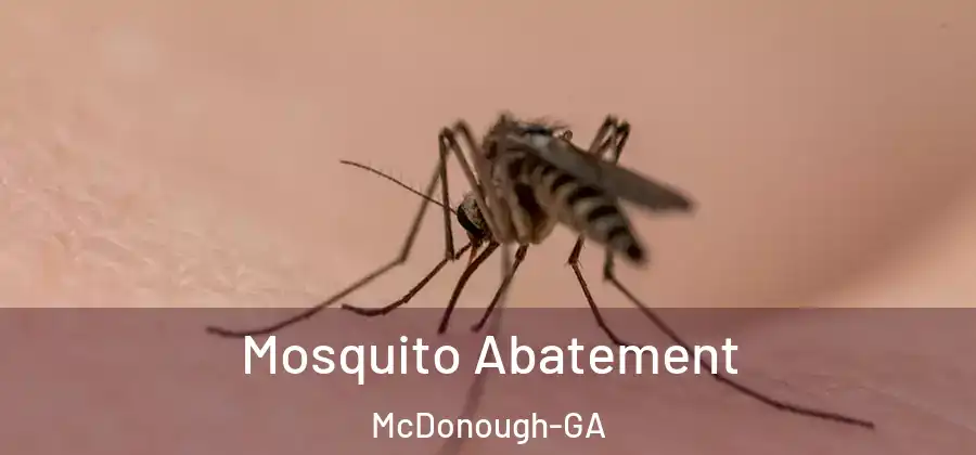  Mosquito Abatement McDonough-GA